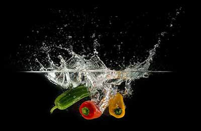 食品營養(yǎng)與健康論文