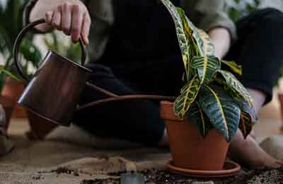 淺談數(shù)學(xué)教學(xué)中學(xué)生自主創(chuàng)新的能力