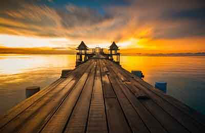 城市綠化的主要措施