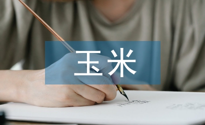 論玉米規(guī)?；N植與機械技術(shù)融合