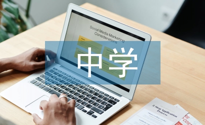 中學(xué)教學(xué)案例