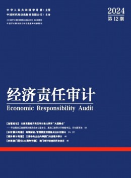 經(jīng)濟(jì)責(zé)任審計(jì)雜志
